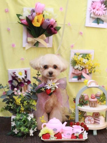 20230321むぎちゃん